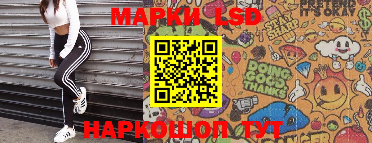 где можно купить наркотик  Марки 25I-NBOMe  Великий Новгород  Наркотические марки 1500мкг  Вход с VPN  Наркотические марки 1500мкг 