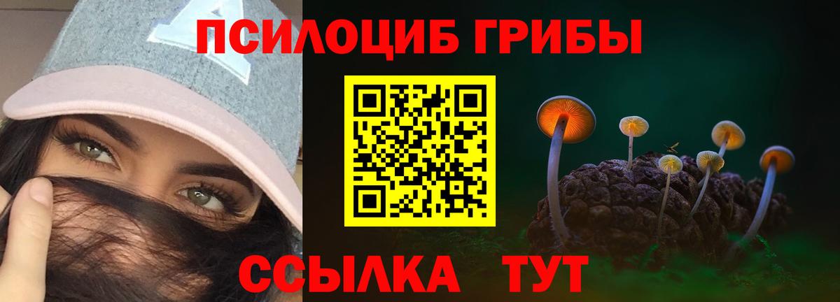 Галлюциногенные грибы прущие грибы  Галлюциногенные грибы Psilocybe  Вход с VPN  Великий Новгород 